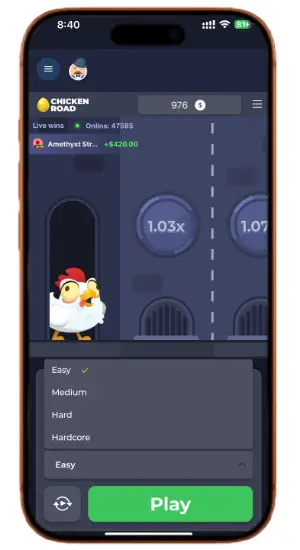 Chicken Road Game Difficulty