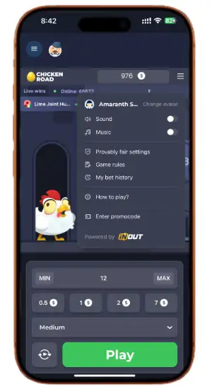 Chicken Road Game Settings
